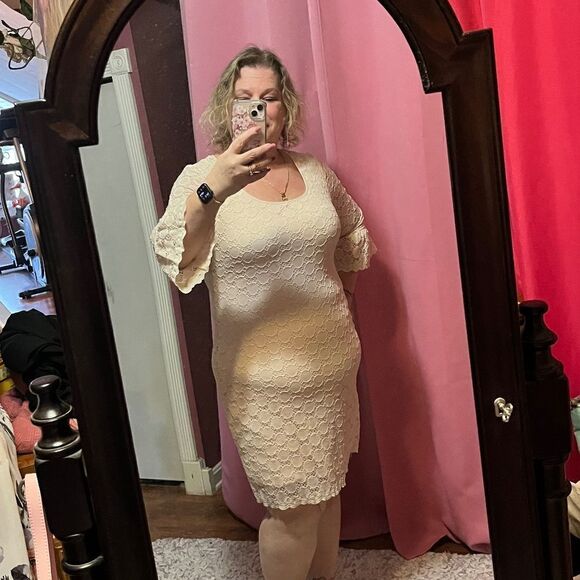 Ronni Nicole Dresses & Skirts - Ronni Nicole XL Lace Dress Lite Pink
